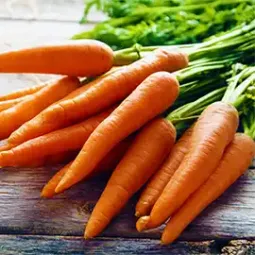 Carrots