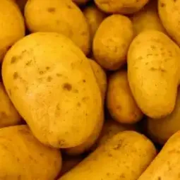 Potatoes Potatoes