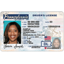 Driver's License Front